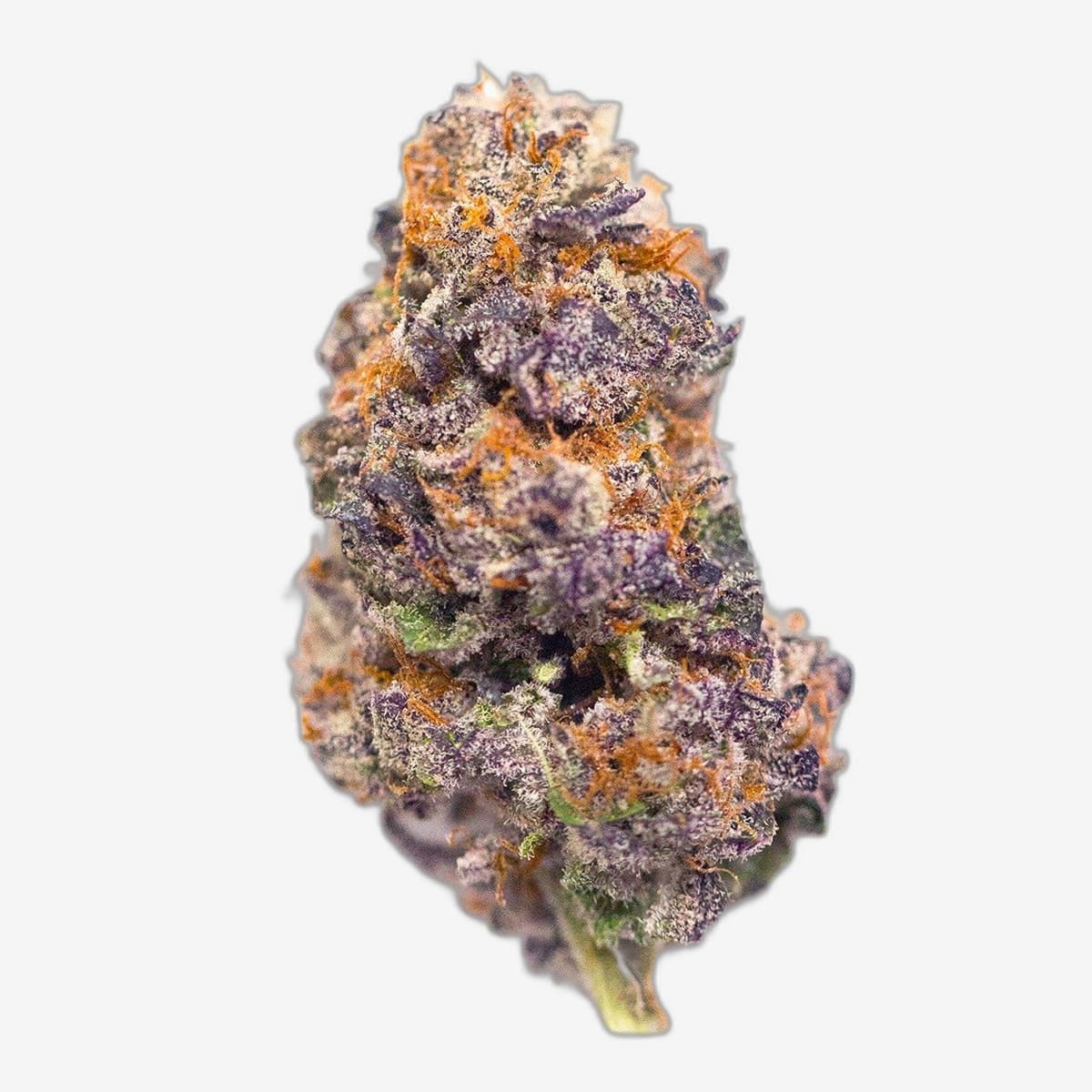 Grape Cookies